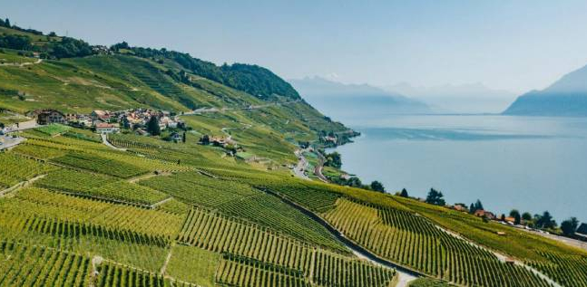 LE LAC LÉMAN ET SES CASINOS RENDEZ-VOUS AU CARREFOUR DU JEU FRANCO-SUISSE.jpg